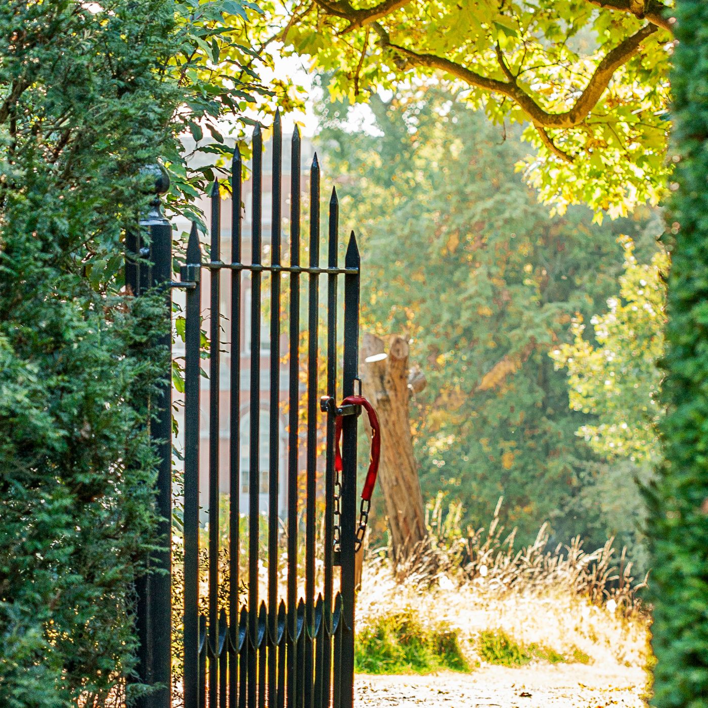 A gate opening