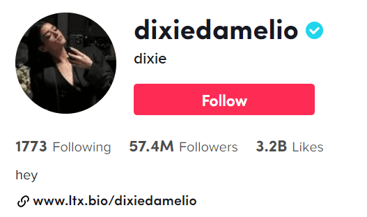 Dixie D’Amelio