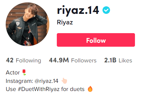 Riyaz Afreen  - Most Followed People on TikTok